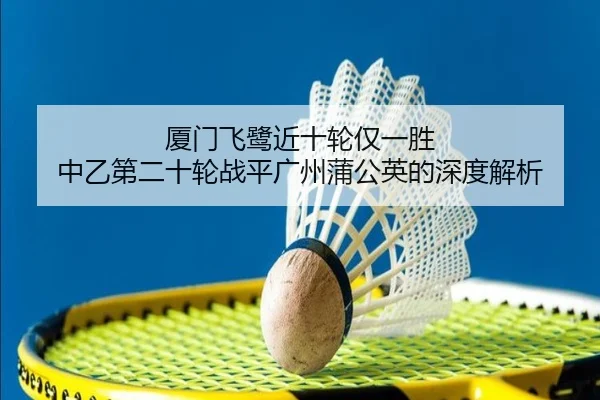 厦门飞鹭近十轮仅一胜 中乙第二十轮战平广州蒲公英的深度解析